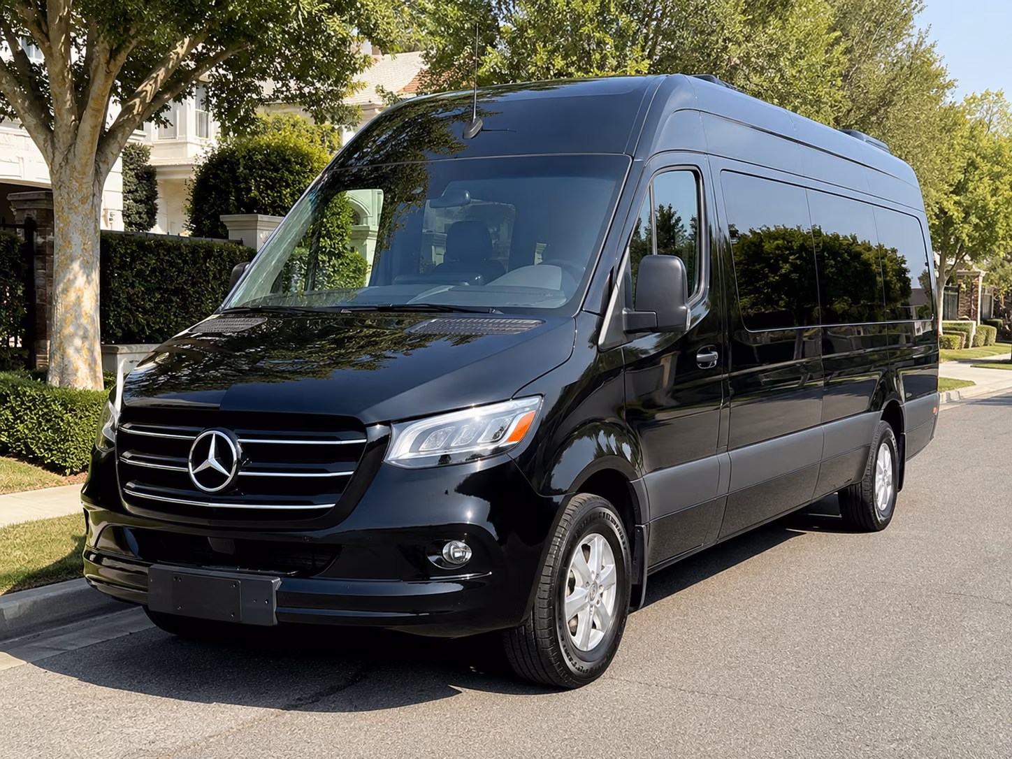 san bernardino sprinter van with driver